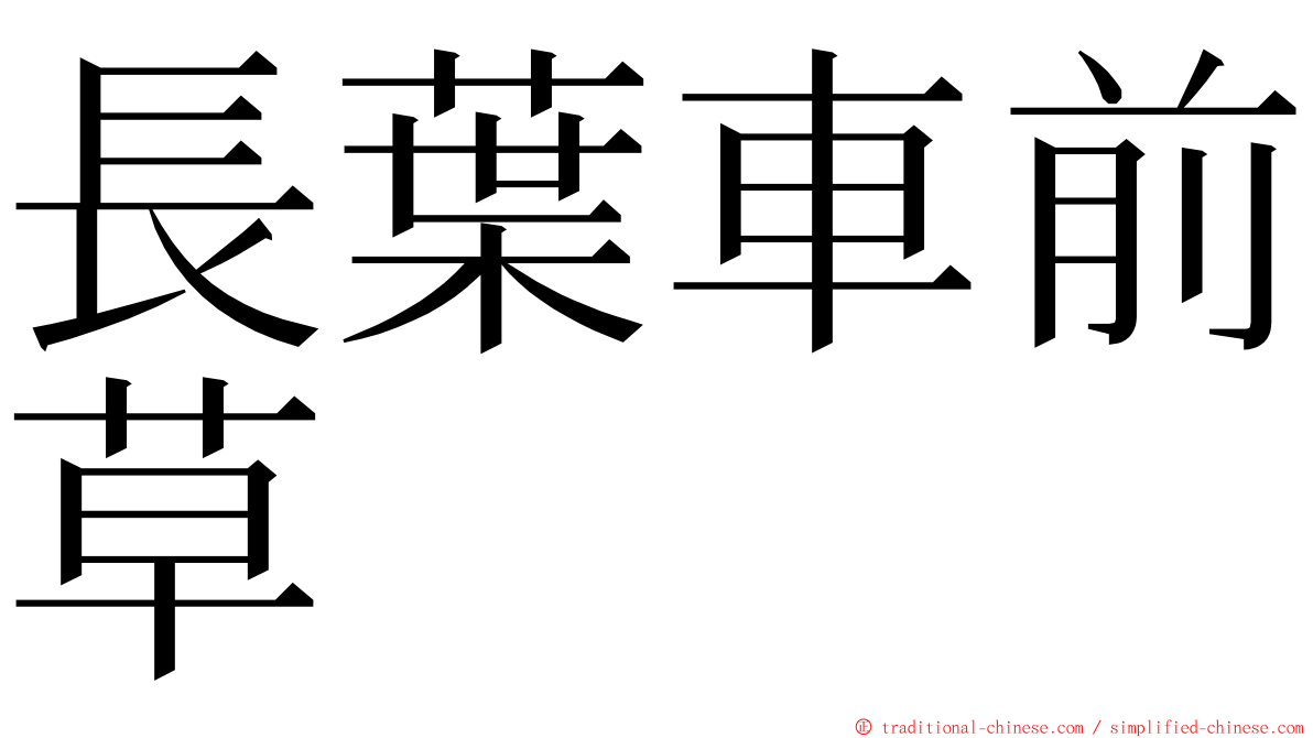 長葉車前草 ming font