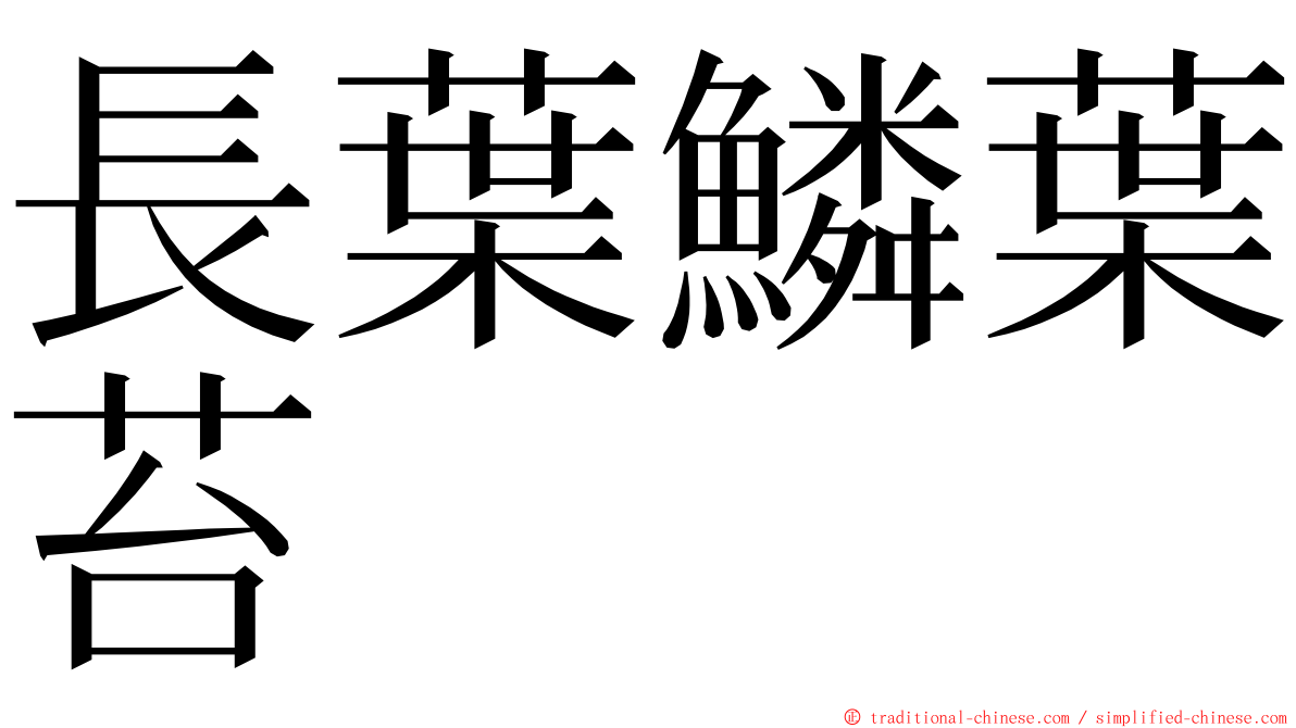 長葉鱗葉苔 ming font