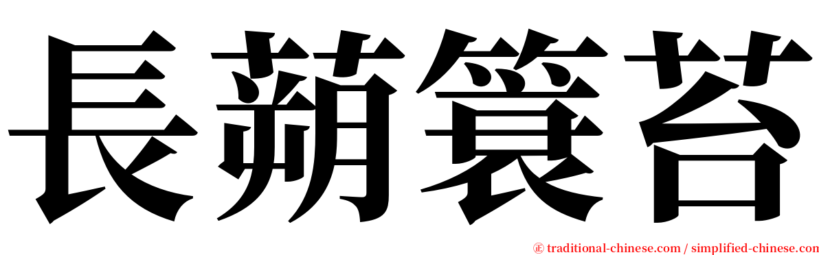 長蒴簑苔 serif font