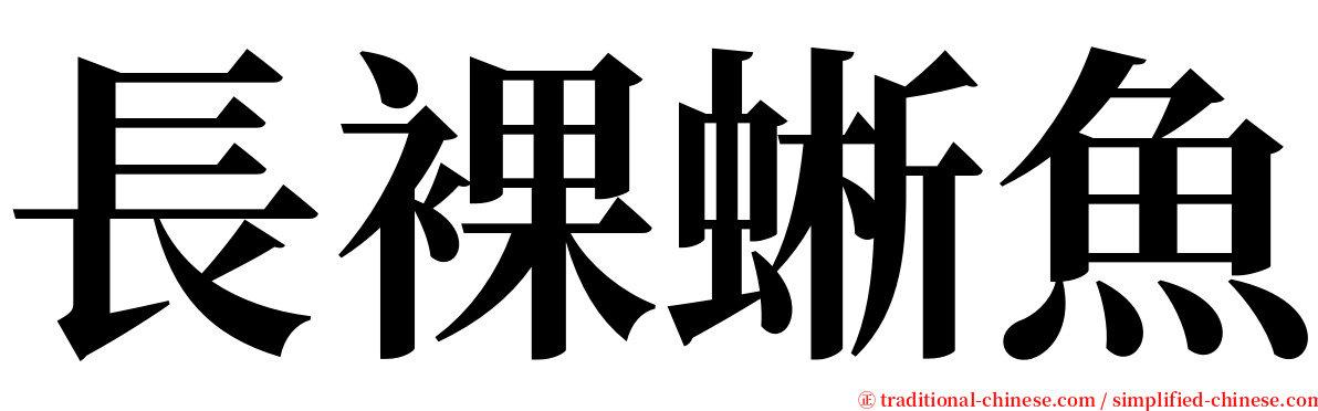 長裸蜥魚 serif font