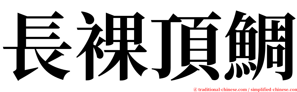 長裸頂鯛 serif font