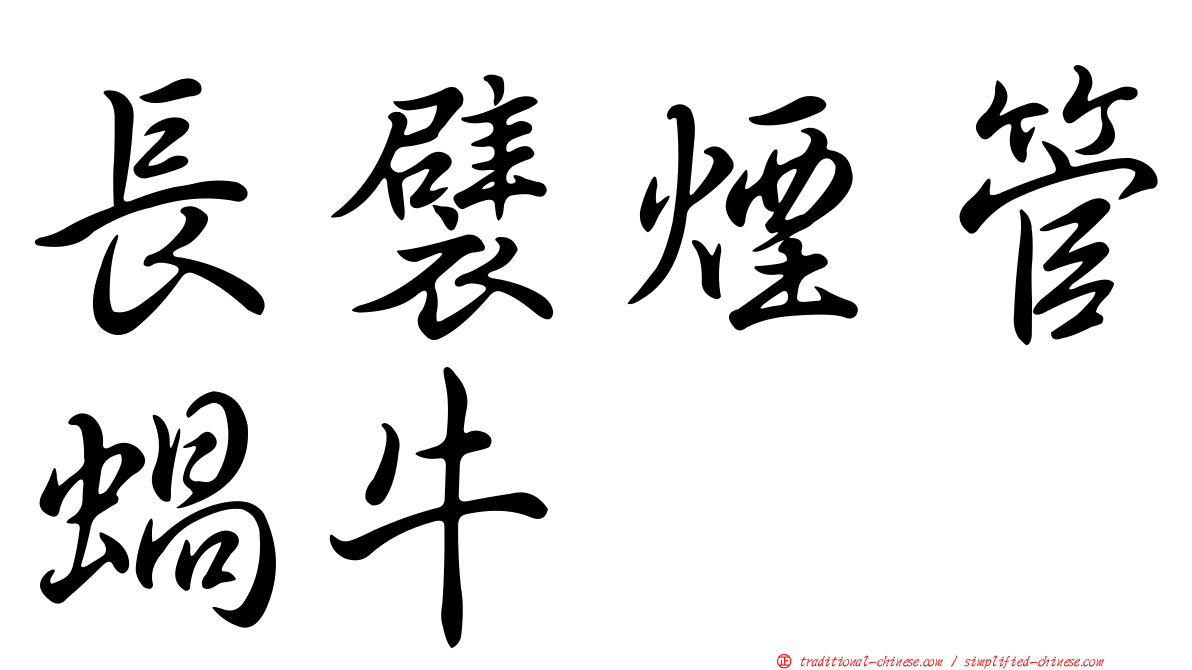 長襞煙管蝸牛