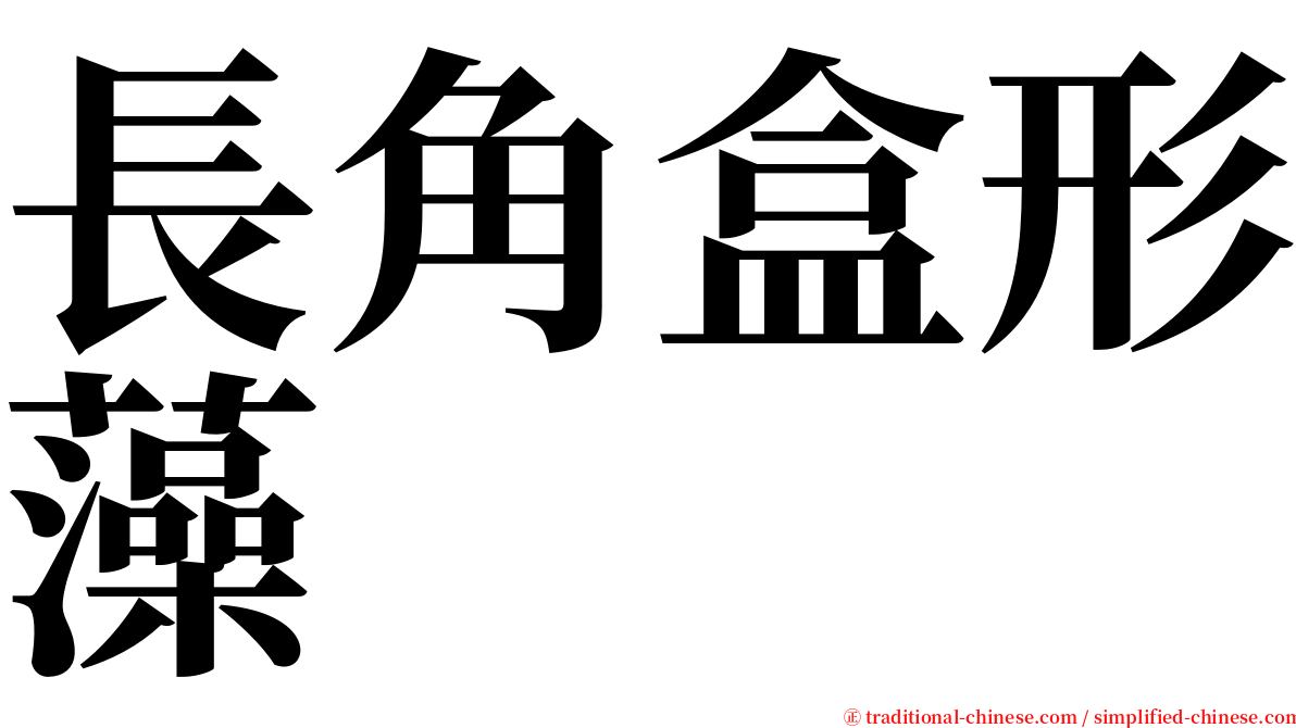 長角盒形藻 serif font