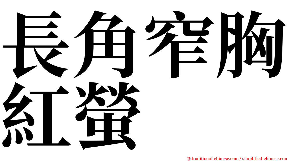 長角窄胸紅螢 serif font