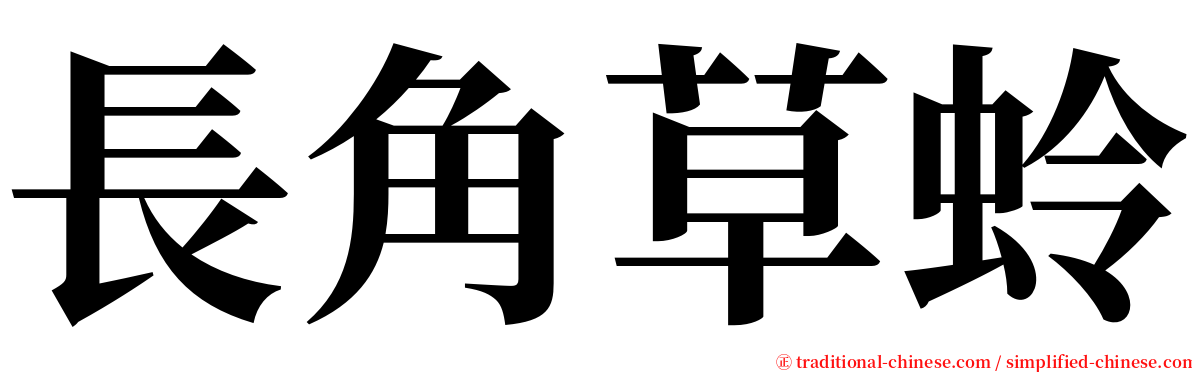 長角草蛉 serif font