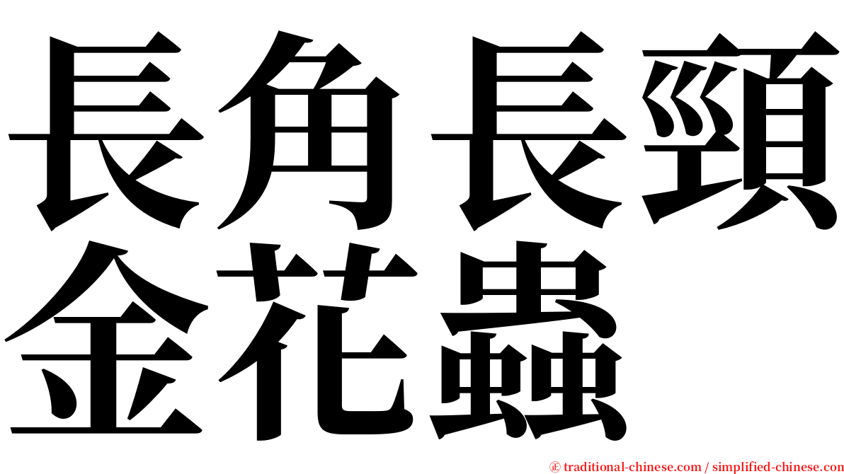 長角長頸金花蟲 serif font