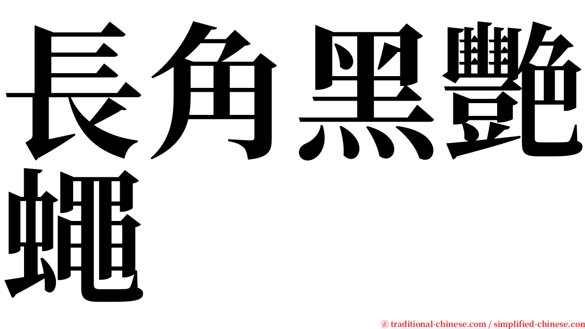 長角黑艷蠅 serif font