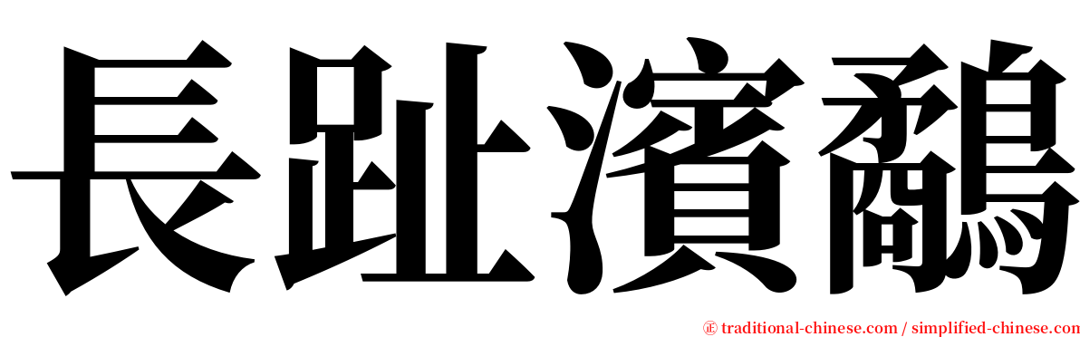 長趾濱鷸 serif font