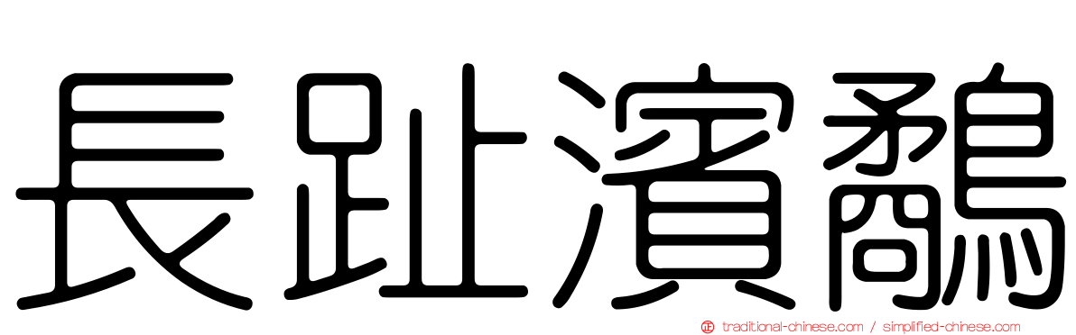長趾濱鷸