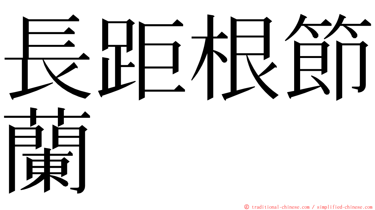 長距根節蘭 ming font