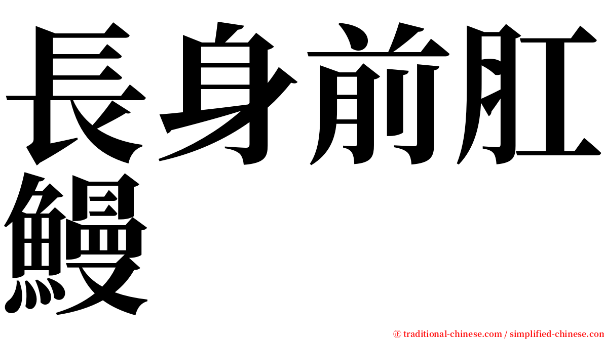 長身前肛鰻 serif font