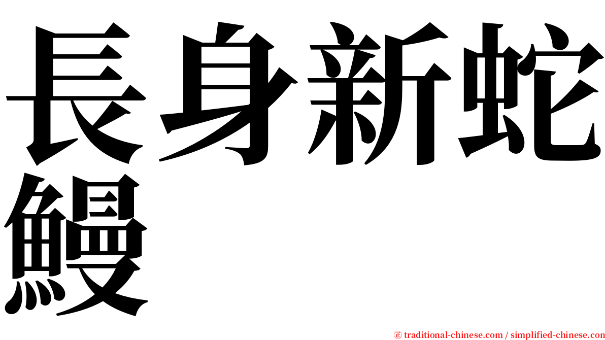 長身新蛇鰻 serif font