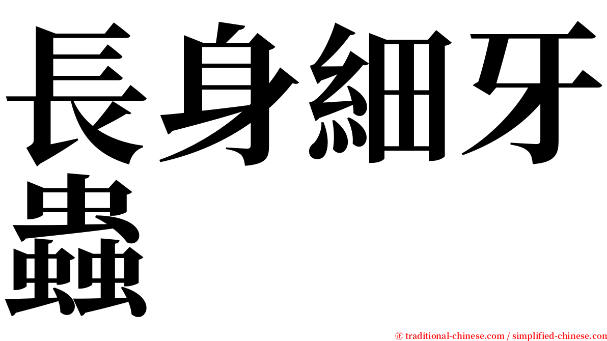 長身細牙蟲 serif font