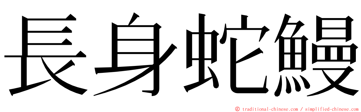 長身蛇鰻 ming font
