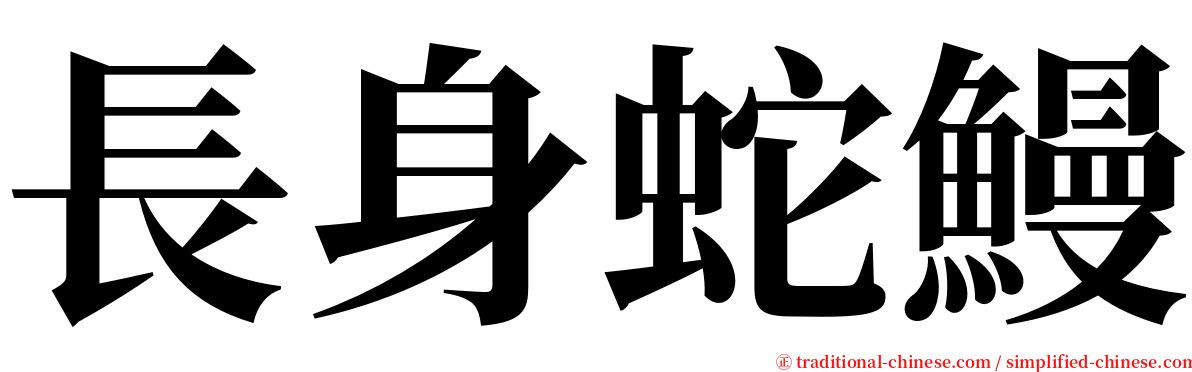 長身蛇鰻 serif font