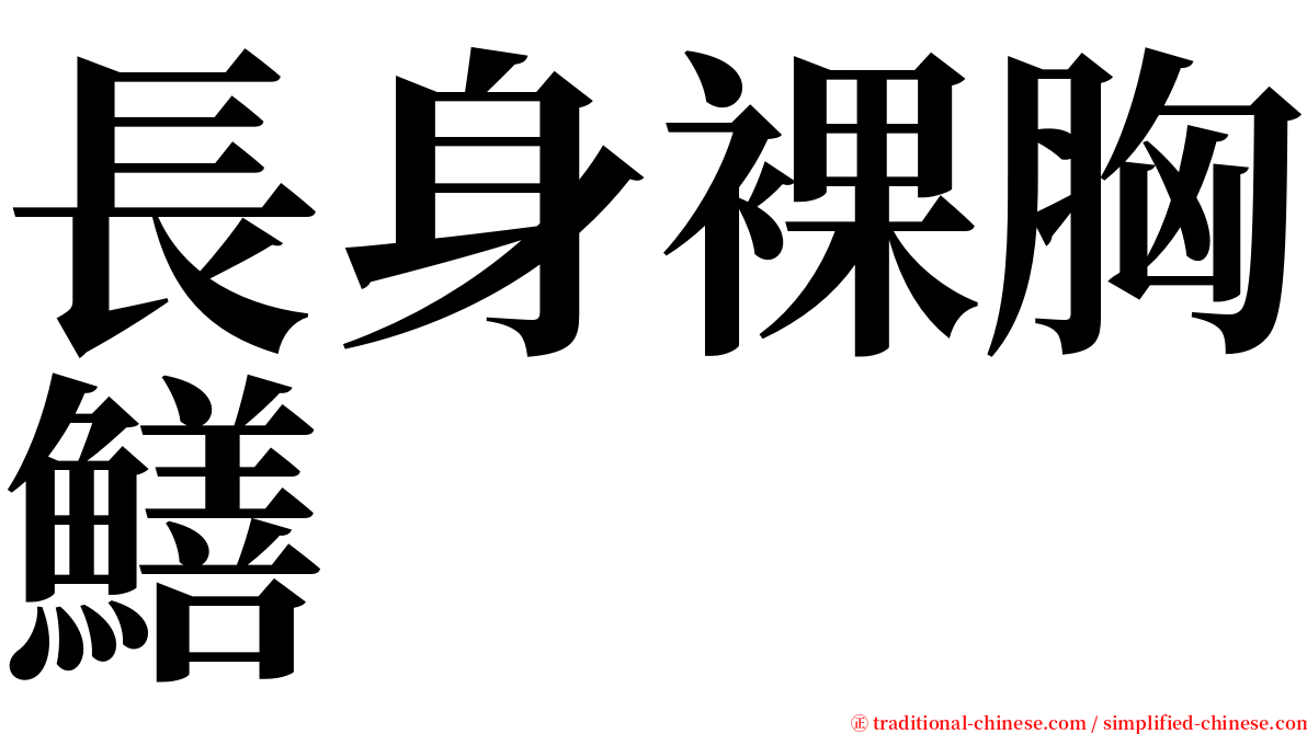 長身裸胸鱔 serif font