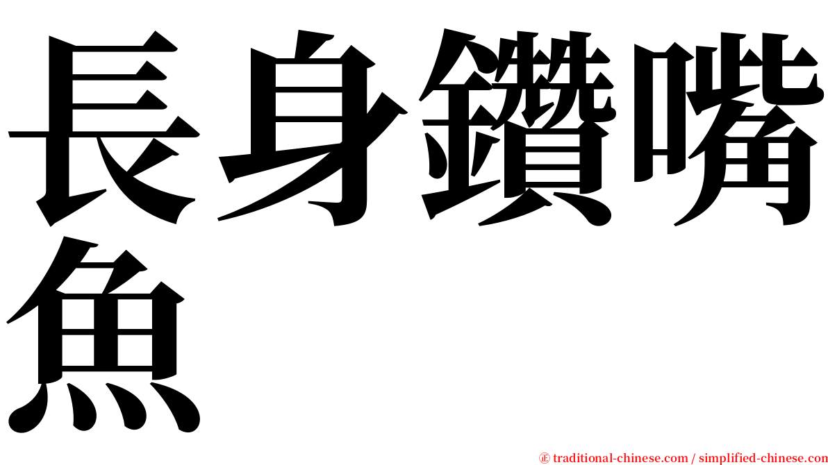 長身鑽嘴魚 serif font