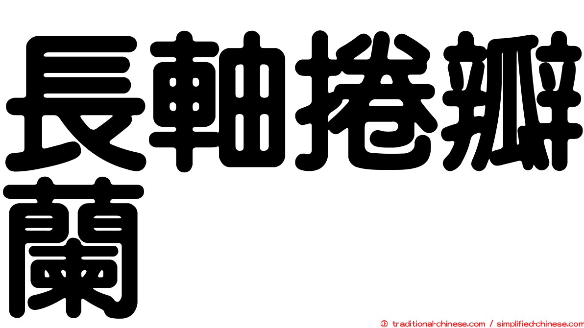 長軸捲瓣蘭