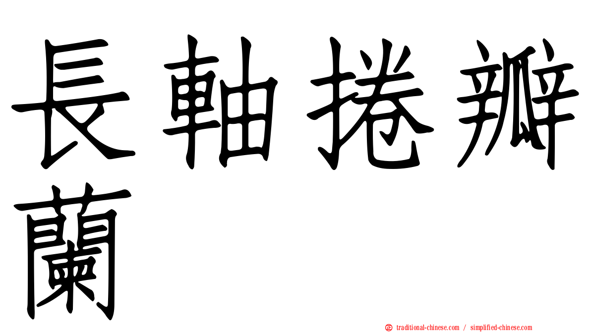 長軸捲瓣蘭