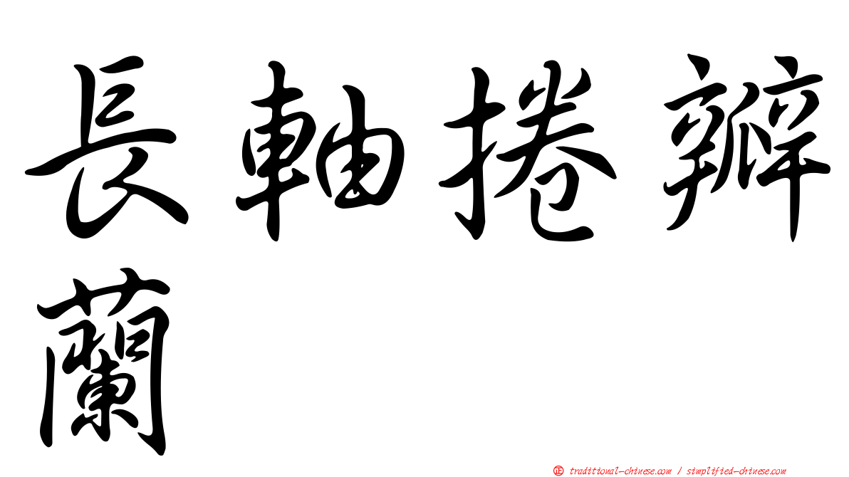 長軸捲瓣蘭