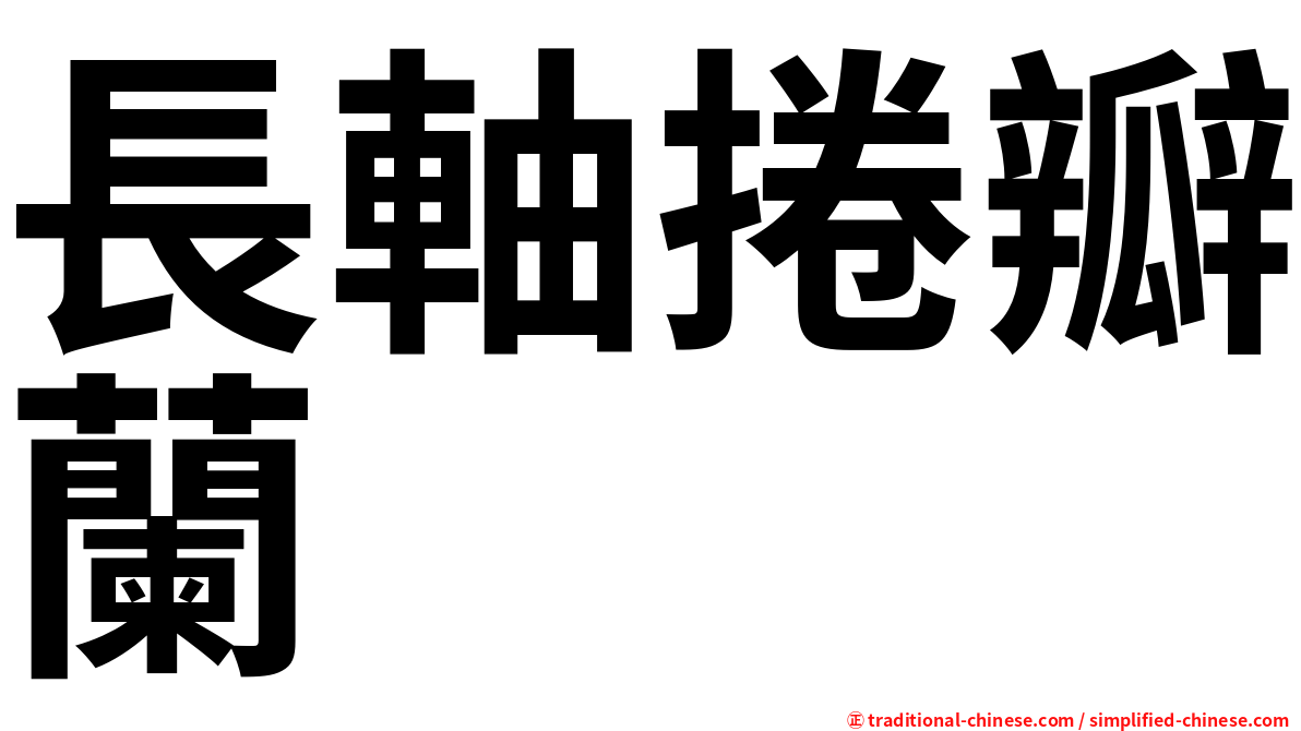 長軸捲瓣蘭