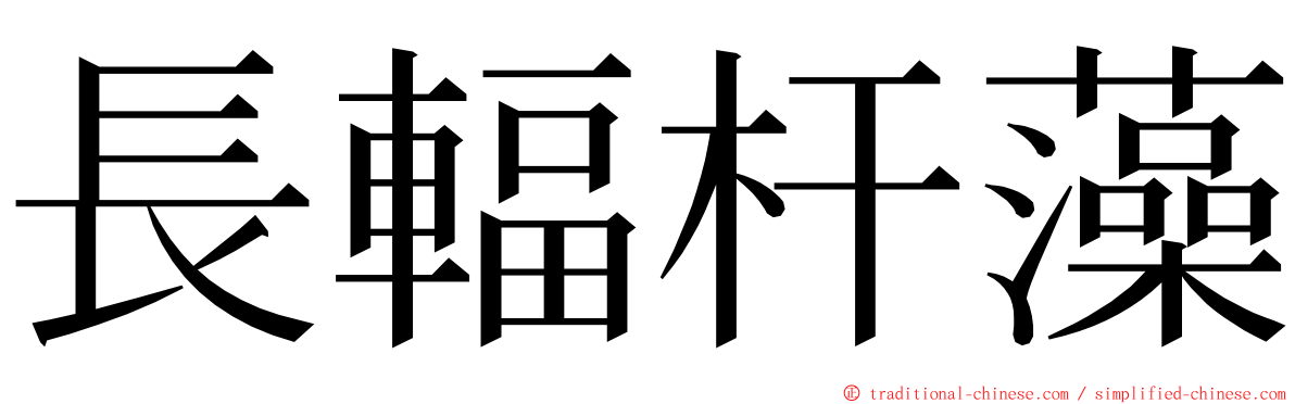 長輻杆藻 ming font