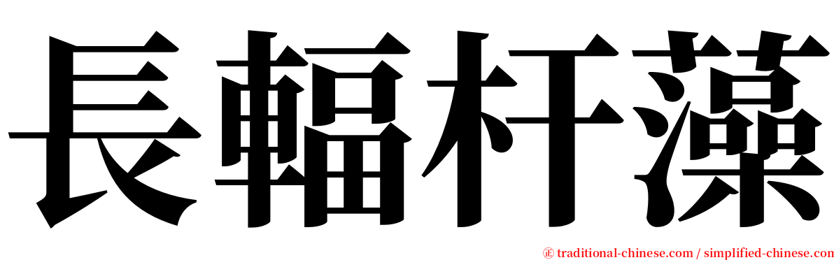 長輻杆藻 serif font