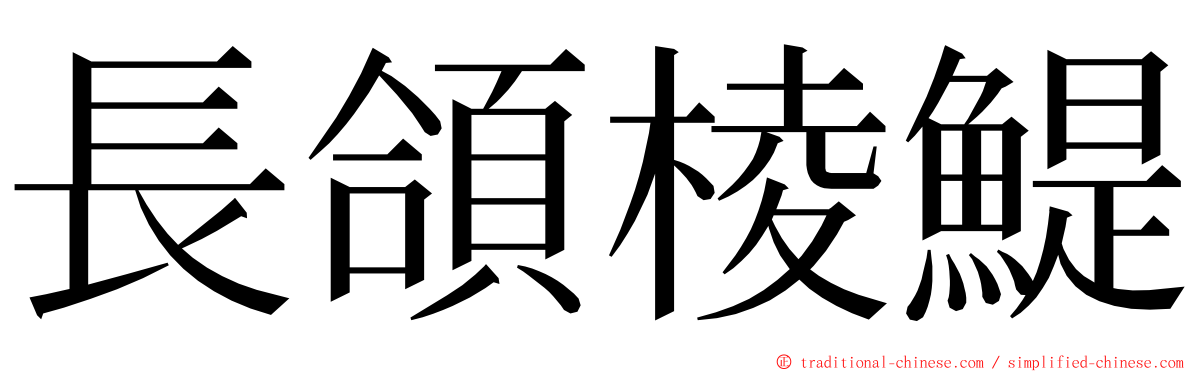 長頜棱鯷 ming font