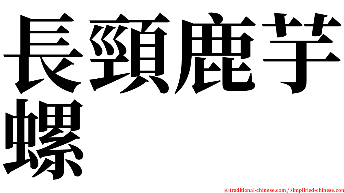 長頸鹿芋螺 serif font