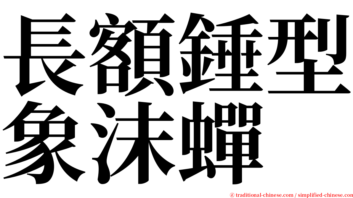 長額錘型象沫蟬 serif font