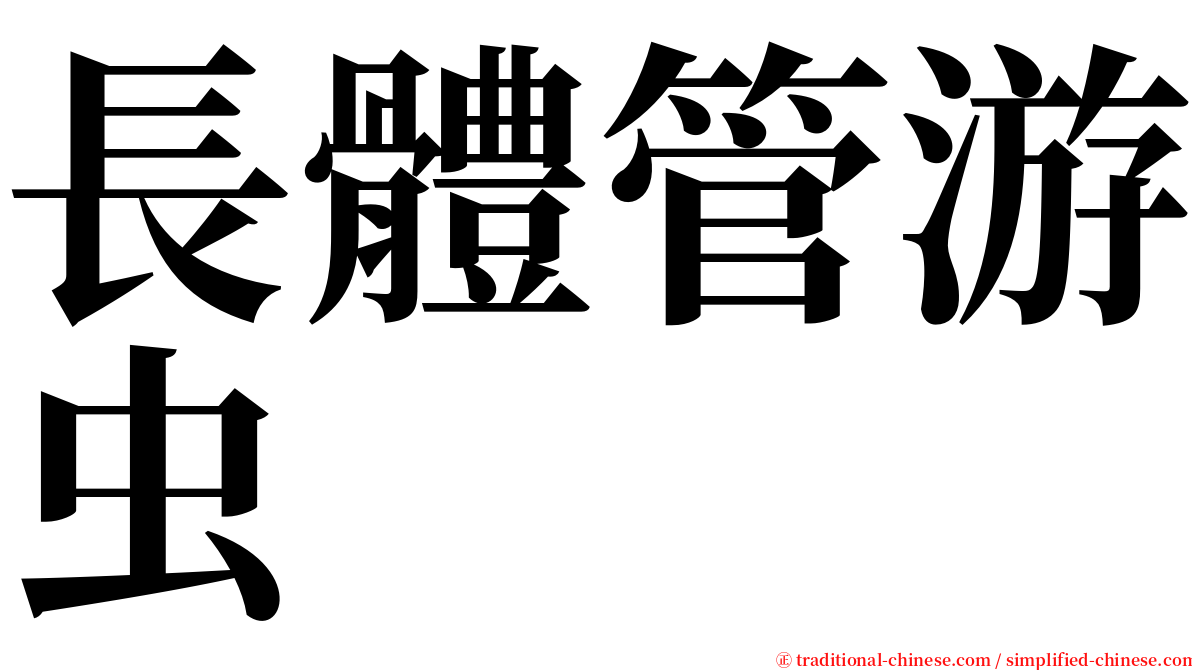 長體管游虫 serif font