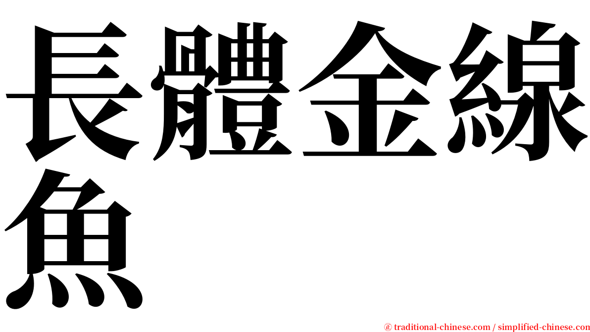 長體金線魚 serif font