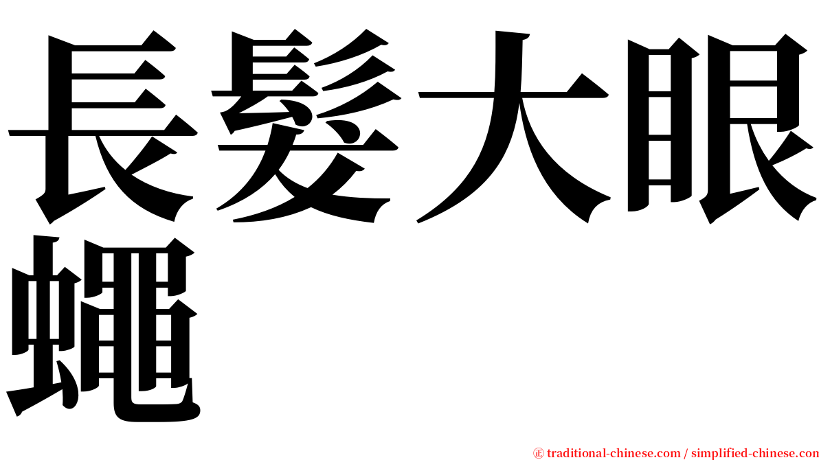 長髮大眼蠅 serif font