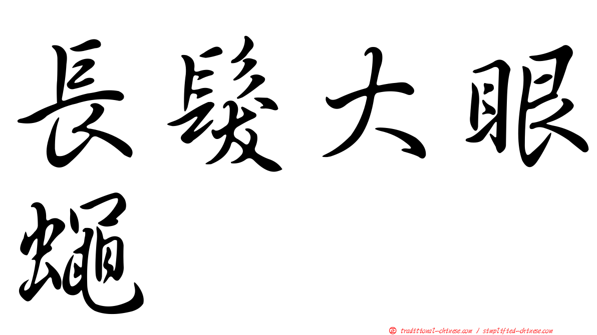 長髮大眼蠅