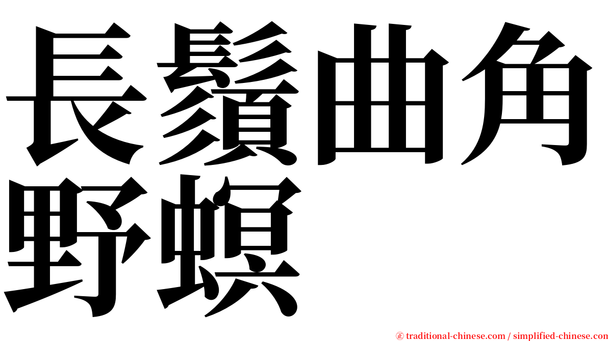 長鬚曲角野螟 serif font