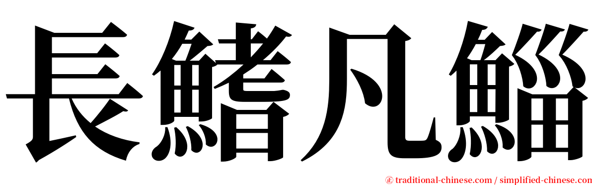 長鰭凡鯔 serif font