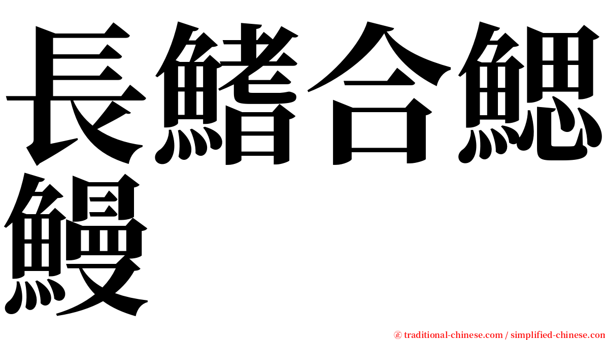 長鰭合鰓鰻 serif font