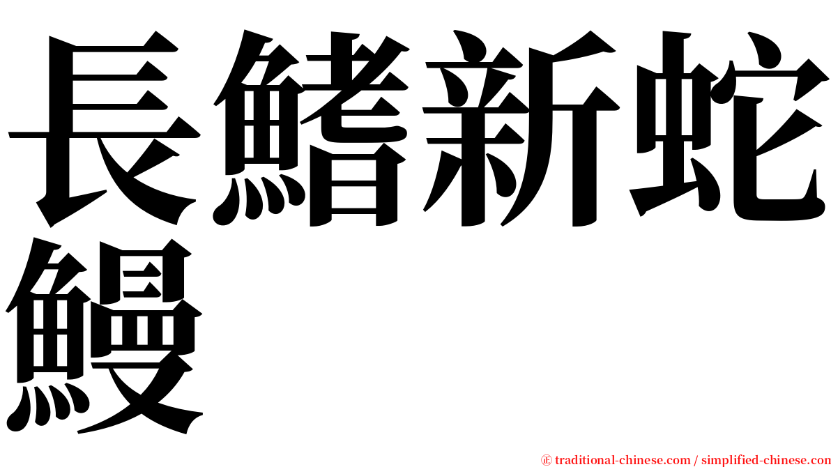 長鰭新蛇鰻 serif font