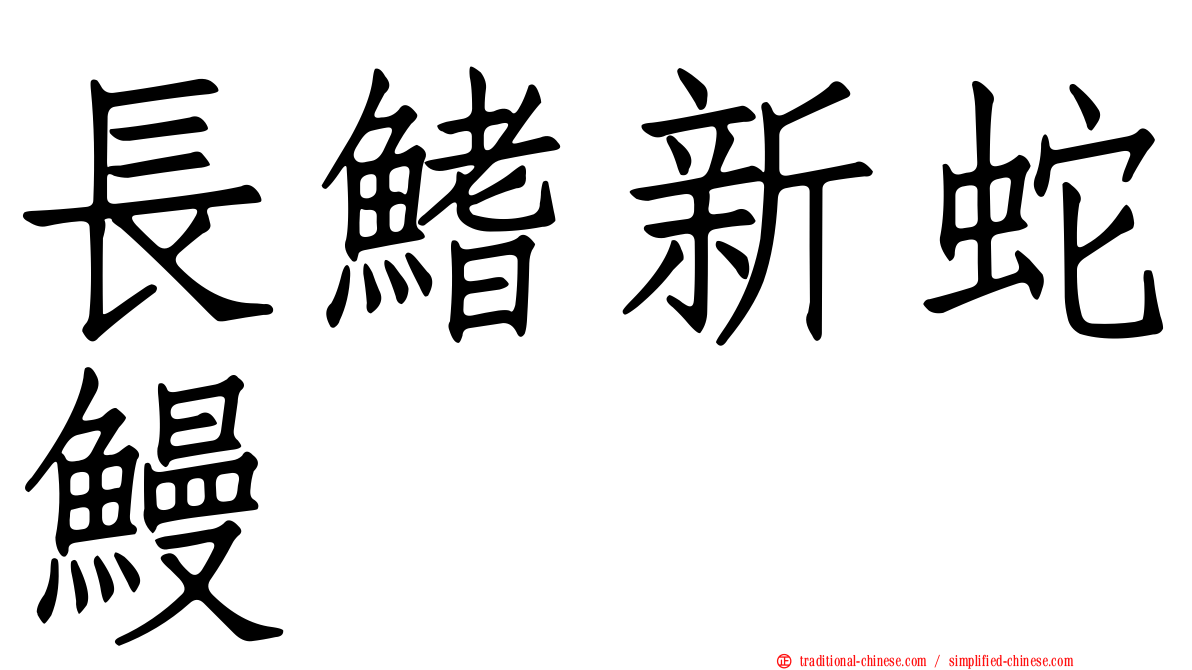 長鰭新蛇鰻