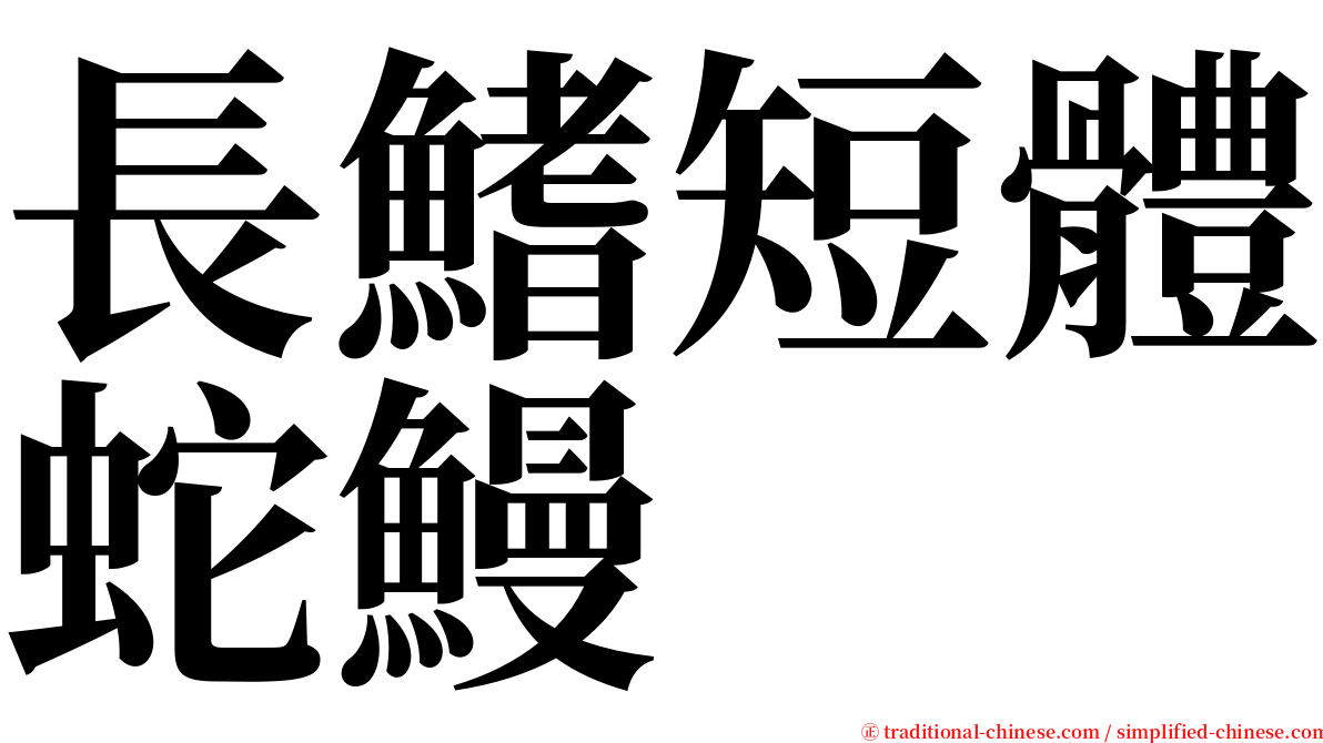 長鰭短體蛇鰻 serif font