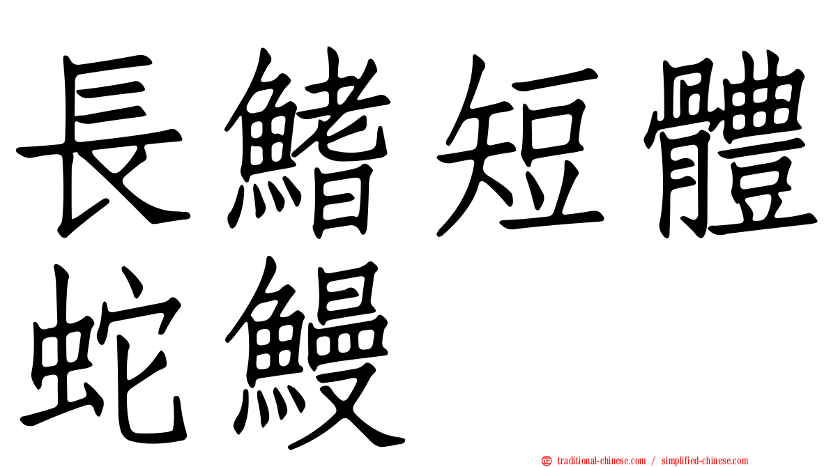 長鰭短體蛇鰻