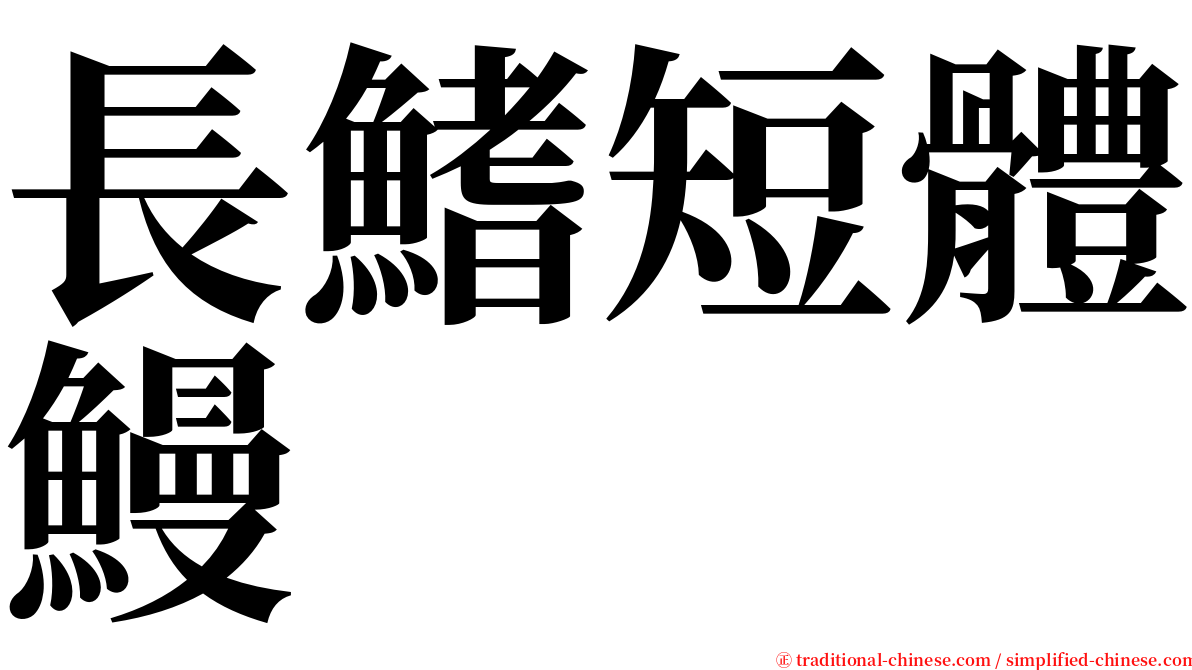 長鰭短體鰻 serif font