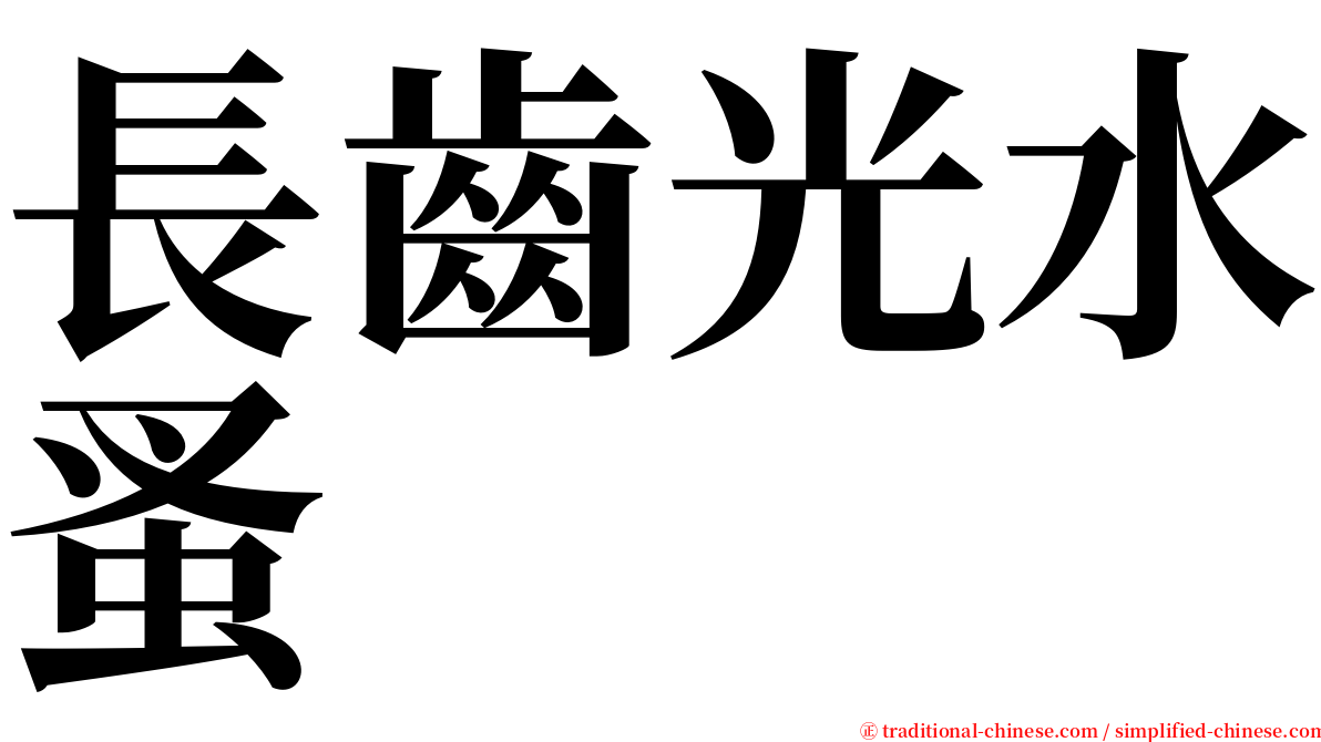 長齒光水蚤 serif font