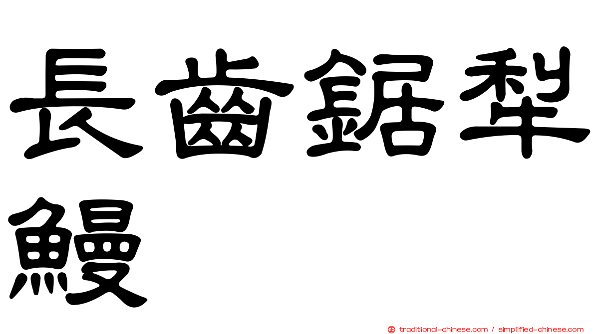 長齒鋸犁鰻