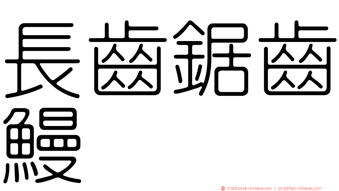 長齒鋸齒鰻