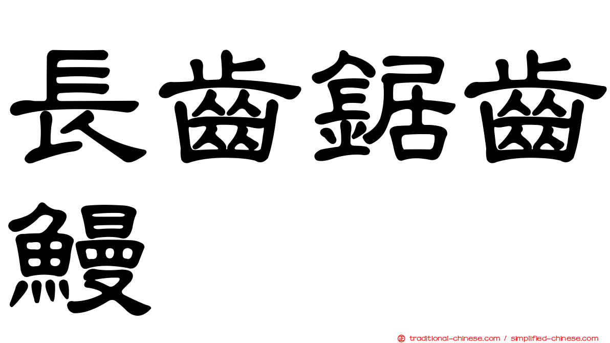 長齒鋸齒鰻