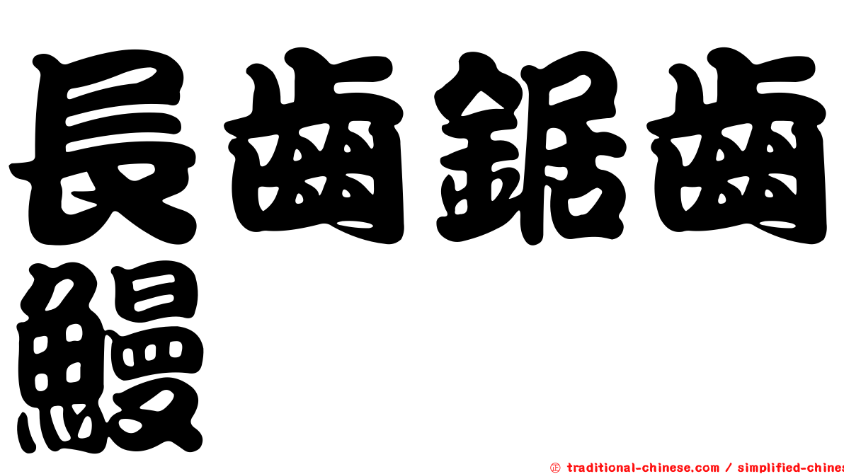 長齒鋸齒鰻