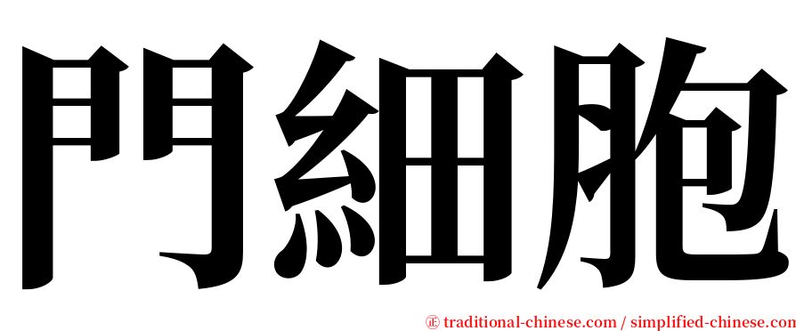 門細胞 serif font