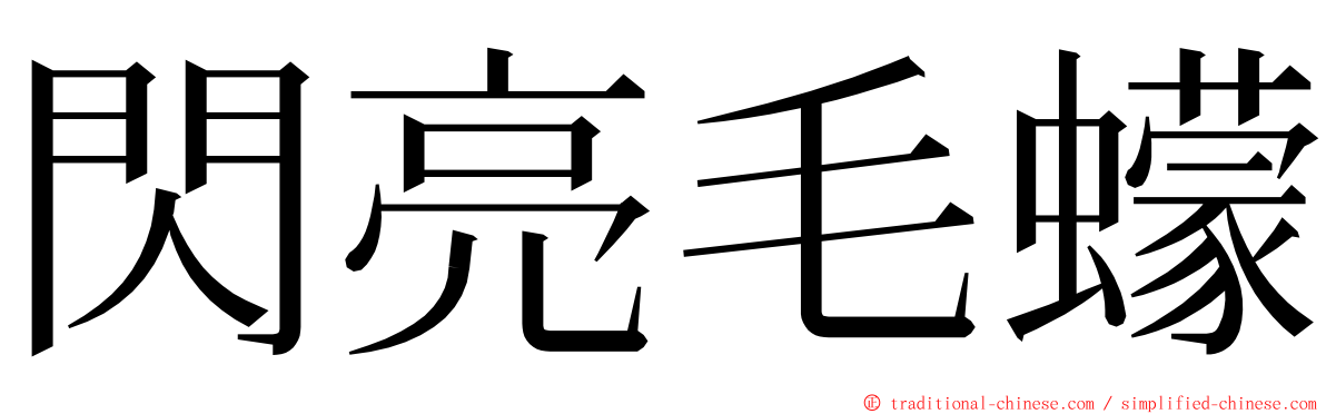 閃亮毛蠓 ming font