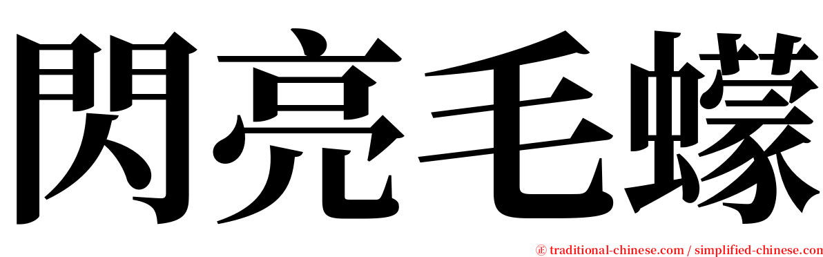 閃亮毛蠓 serif font